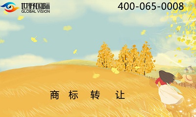 跨境電商如何注冊(cè)美國(guó)商標(biāo)圖片