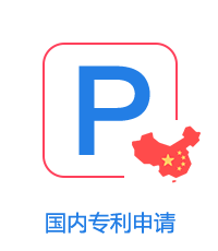 國內(nèi)專利申請(qǐng)圖片